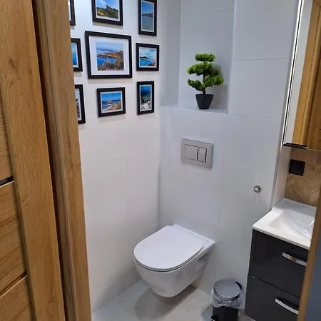 Ananasapart 600 Metrow Morze 300 Metrow Starowka Апартаменти *